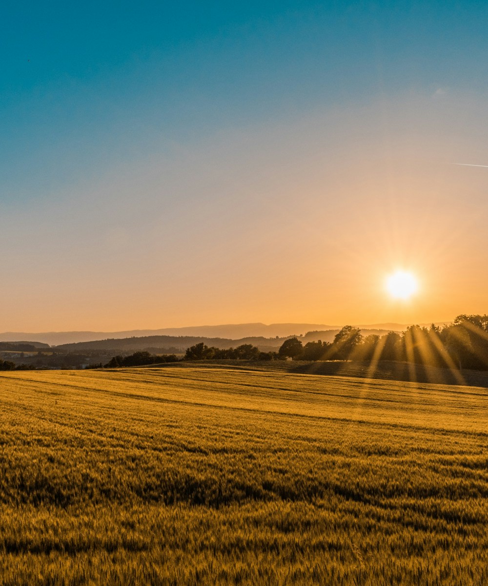 Sustainable sourcing